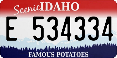 ID license plate E534334
