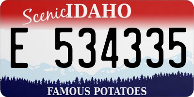 ID license plate E534335