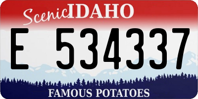 ID license plate E534337