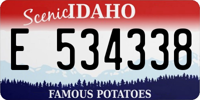 ID license plate E534338