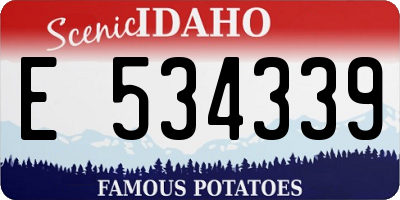 ID license plate E534339