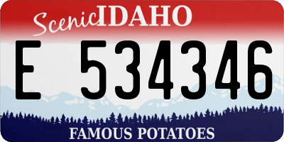 ID license plate E534346
