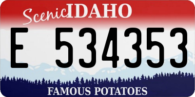 ID license plate E534353