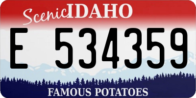 ID license plate E534359