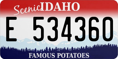 ID license plate E534360