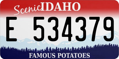 ID license plate E534379