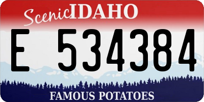 ID license plate E534384