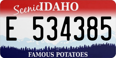 ID license plate E534385