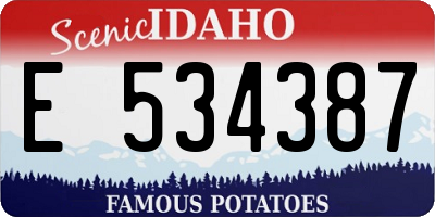 ID license plate E534387