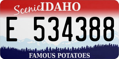 ID license plate E534388