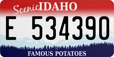 ID license plate E534390