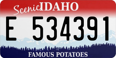 ID license plate E534391