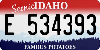 ID license plate E534393