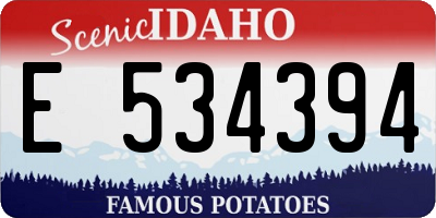 ID license plate E534394