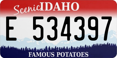 ID license plate E534397