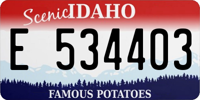 ID license plate E534403