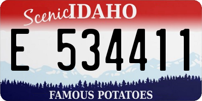 ID license plate E534411