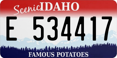 ID license plate E534417