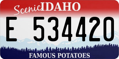 ID license plate E534420