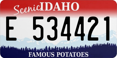 ID license plate E534421