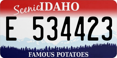 ID license plate E534423