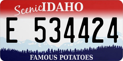 ID license plate E534424