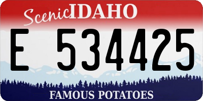 ID license plate E534425
