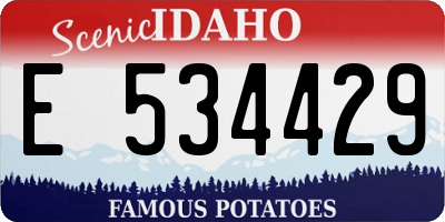 ID license plate E534429