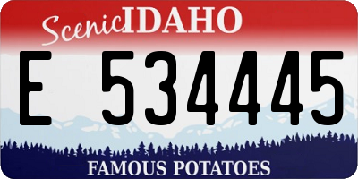 ID license plate E534445