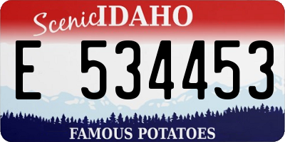 ID license plate E534453