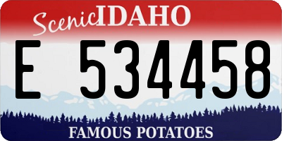 ID license plate E534458
