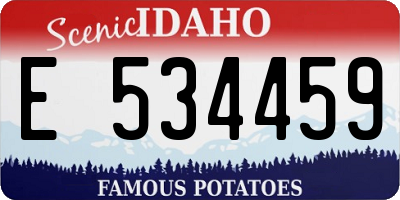 ID license plate E534459