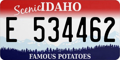 ID license plate E534462