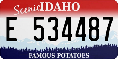 ID license plate E534487