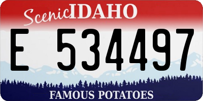 ID license plate E534497