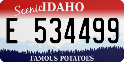 ID license plate E534499