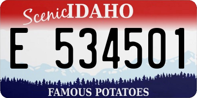ID license plate E534501