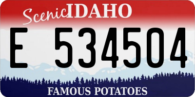 ID license plate E534504
