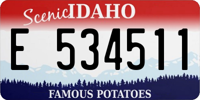 ID license plate E534511