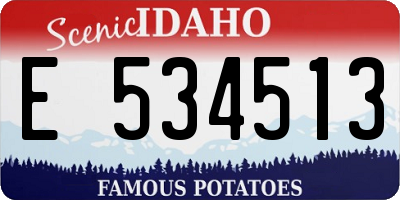 ID license plate E534513