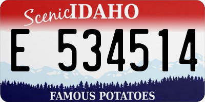 ID license plate E534514