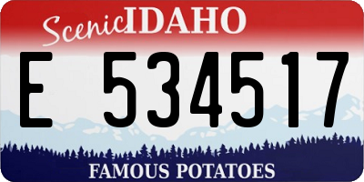 ID license plate E534517
