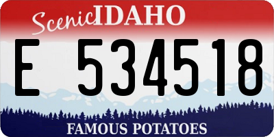 ID license plate E534518