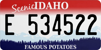ID license plate E534522