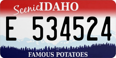 ID license plate E534524
