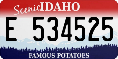 ID license plate E534525
