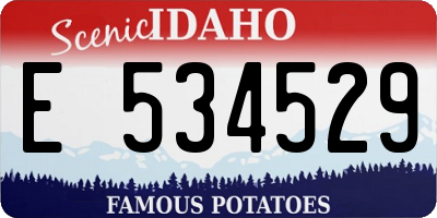ID license plate E534529