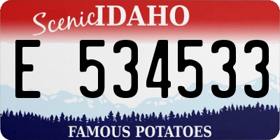 ID license plate E534533