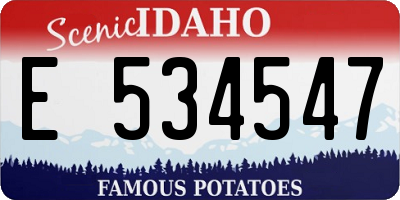 ID license plate E534547