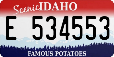 ID license plate E534553